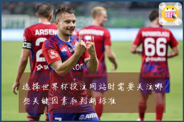 选择世界杯投注网站时需要关注哪些关键因素和判断标准